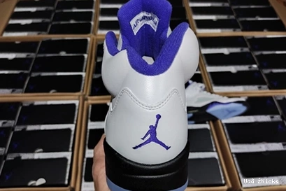 DD0587-141 CONCORD Air 587 Fashionable Jordan5 0905